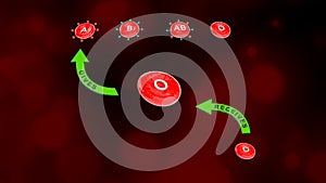 Blood Group O with Receivers and Accepting Blood Groups