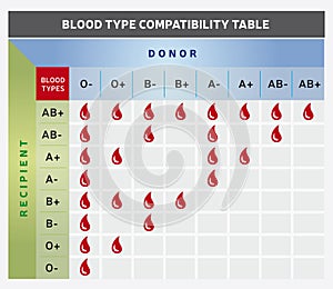Blood Type Compatibility Table / Chart with Donor and Recipient Groups photo