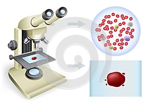 Blood under a microscope photo