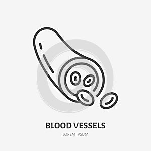 Blood vessel flat line icon. Vector thin pictogram of vein with molecules, outline illustration for hematology clinic photo