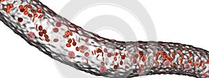 Blood vessel with flowing blood cells photo