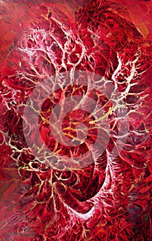 Blood vessels - abstract digital art