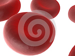 Bloodcells