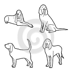 Bloodhound Animal Vector Illustration Hand Drawn Cartoon Art