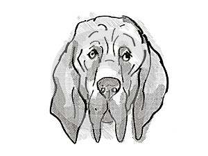 Bloodhound Dog Breed Cartoon Retro Drawing
