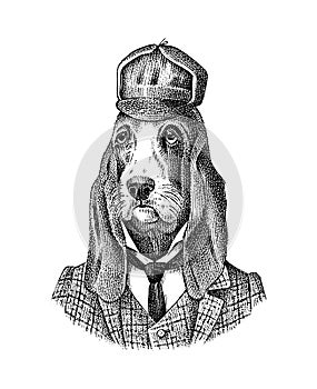 Bloodhound Dog dressed up in suit. Hunting breed. Fashion Animal character in clothes. Hand drawn sketch. Vector