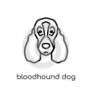 Bloodhound dog icon. Trendy modern flat linear vector Bloodhound