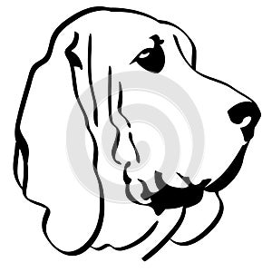 Bloodhound dog vector eps Hand drawn Crafteroks svg free, free svg file, eps, dxf, vector, logo, silhouette, icon, instant downloa