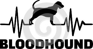 Bloodhound heartbeat word