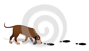 Bloodhound searching photo
