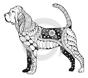 Bloodhound zentangle stylized, vector, illustration, freehand photo