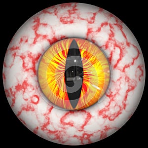 Bloodshot animal eye