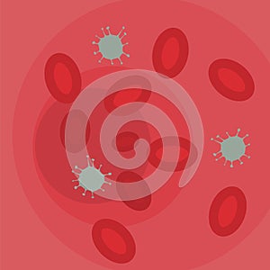 Bloodstream with bacteria sepsis photo