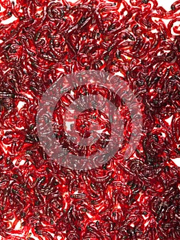 Bloodworm