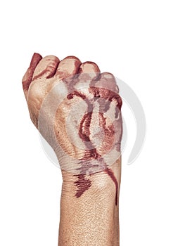 Bloody hand, clenched in a fist, isolated on white. Female.
