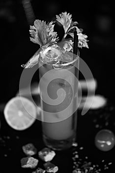 Bloody mary cocktail with fresh ingredients