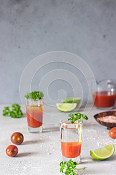 Bloody Mary cocktail and ingredients, copy space.