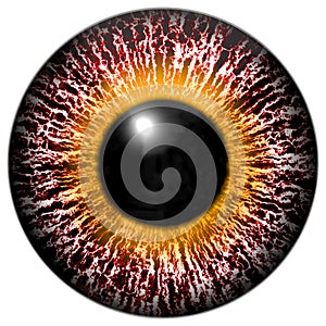 Bloody pink-eye of alien with yellow ring around the pupil