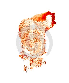 Bloody red fingerprint isolated on white background