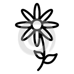 Bloom daisy, daisy Vector Icon which can easily edit