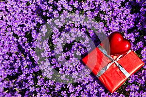 Bloom of a lilacbush with red heart and a gift