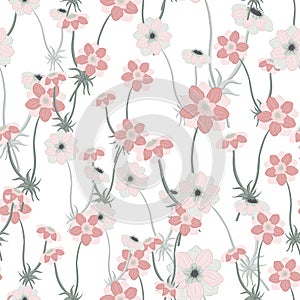 Bloom seamless pattern with pink random anemone flowers isolated print. White background. Floral artwork