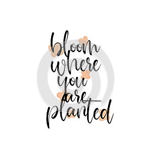 Bloom where you are planted motivational inspirational quote.