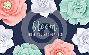 Bloom when you are planted photo