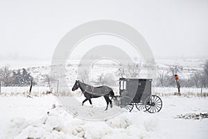 Bloomfield Iowa Amish horse and buggy in snow storm