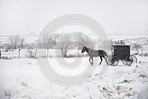 Bloomfield Iowa Amish horse and buggy in snow storm