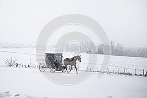 Bloomfield Iowa Amish horse and buggy in snow storm