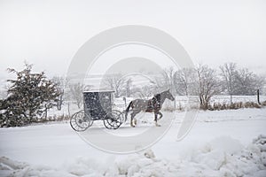 Bloomfield Iowa Amish horse and buggy in snow storm