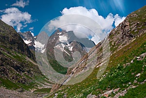 blooming alpine meadows. Mountain landscape. lovely Alps