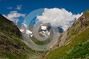 blooming alpine meadows. Mountain landscape. lovely Alps