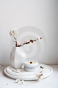 Blooming apricot tree branches in vase and burning candle on round tray in home interior