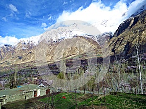 blooming apricot trees in prestine Hunza Valley, Karakoram Highway, Pakistan