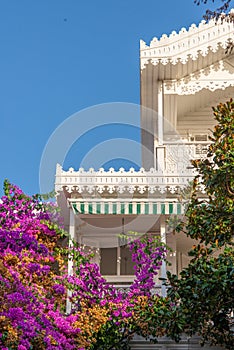 Blooming Bougainvillea & Traditional Architectural House