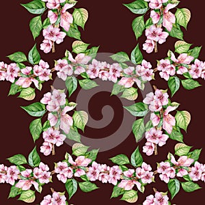 Blooming branch of almond tree with pink flowers seamless pattern watercolor isolated on dark. Blossom fruit tree branch