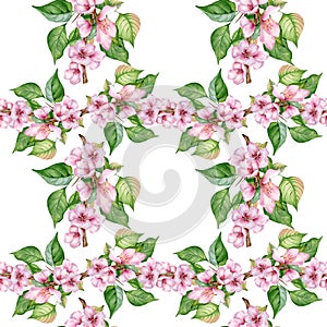 Blooming branch of almond tree with pink flowers seamless pattern watercolor isolated on white. Blossom fruit tree