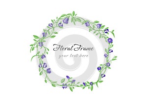 Blooming butterfly pea flower frame vector