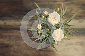 Blooming carnation in pot on wooden background