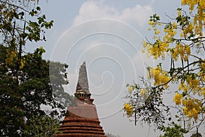 Blooming Cassia Fistula And Ancient Pagoda