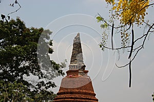 Blooming Cassia Fistula And Old Pagoda