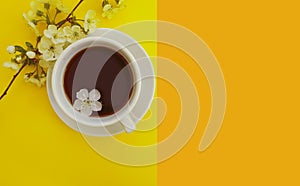 Blooming cherry, aroma a cup caffeine spring  morning  of coffee on a colored background