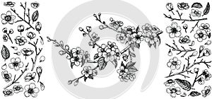 Blooming cherry branch, vector illustration and big set of design elements: flowers, leaves, petals, buds.