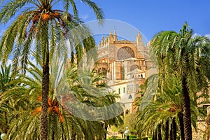 La Seu, medieval gothic cathedral, Palma de Mallorca, Spain photo