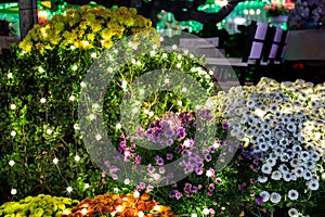 Blooming colorful flowers with green leaves decorated with festive garland bulbs.