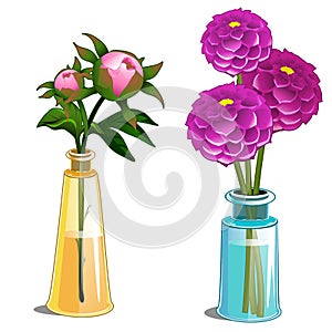 Blooming dahlia and non-blooming flower in vase