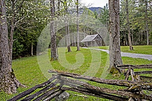 Blooming Dogwoods around an old house in Cades Cove.