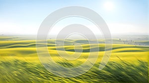Blooming flat steppe with fresh green grass on a bright day with light fog in the background,